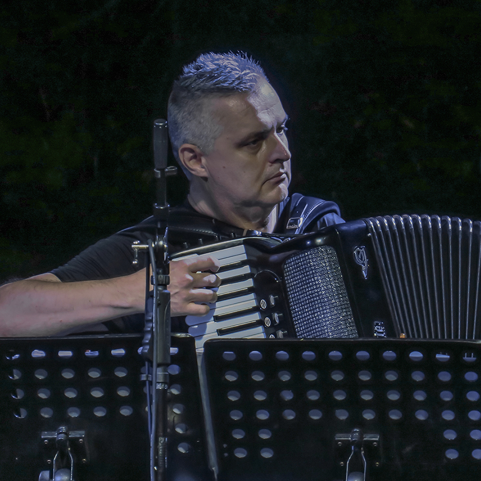 M Signorini